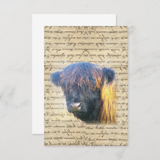 Highland cow (Front/Back)