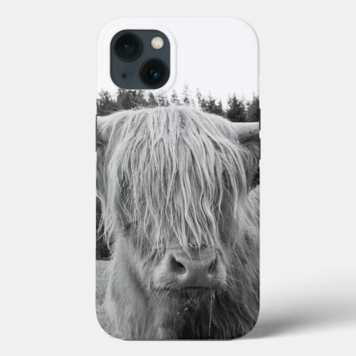Highland Cow 6 wall art  iPhone 13 Case
