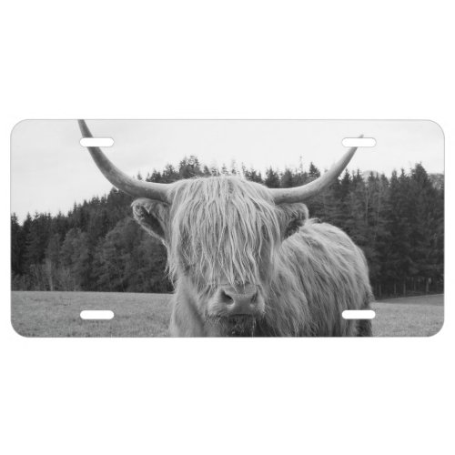 Highland Cow 6 wall art  License Plate