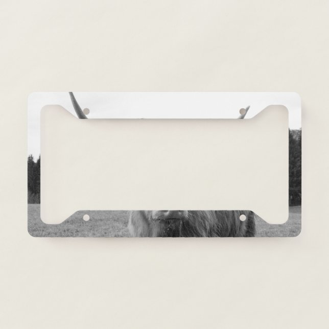 Highland Cow #6 #wall #art  License Plate Frame (Front)
