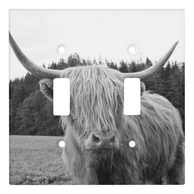 Highland Cow #6 #wall #art  Light Switch Cover (Front)