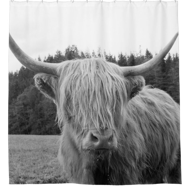 Highland Cow #6 #wall #art  Shower Curtain (Front)
