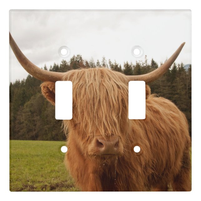 Highland Cow #7 #wall #art  Light Switch Cover (Front)