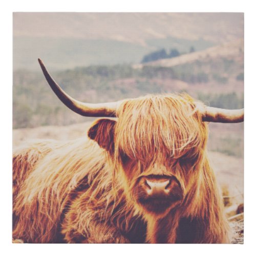 Highland Cow Baby Nursery Boy Canvas Print