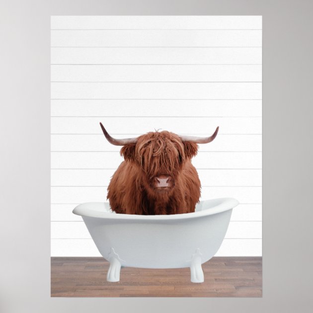 cow in a bathtub