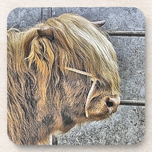 HIGHLAND COW BEVERAGE COASTER (Front)