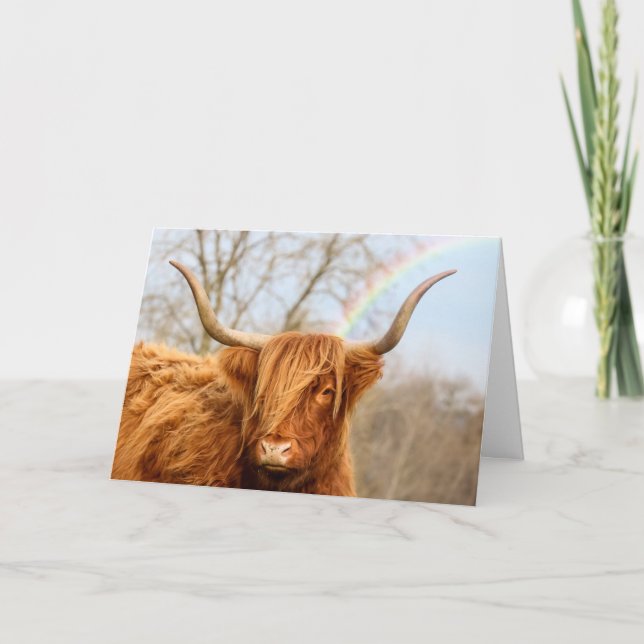 Highland Cow Birthday Card (Front)