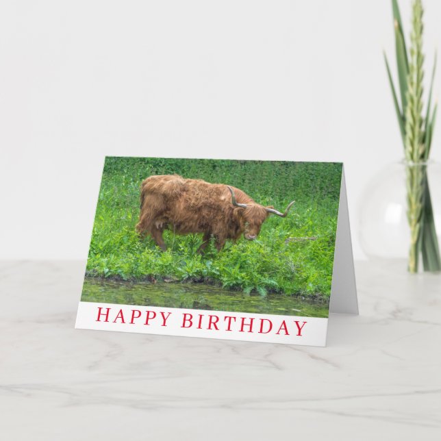 Highland Cow birthday card (Front)