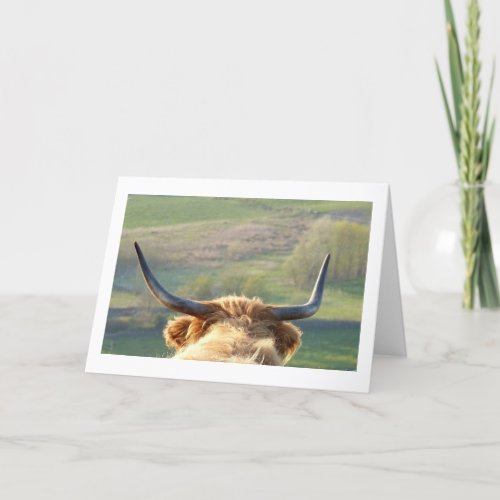 Highland cow Birthday card