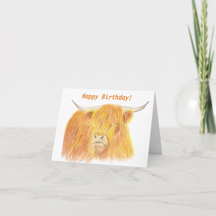 Highland Cow Birthday card | Zazzle.com