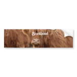 Highland Cow Bumper Sticker