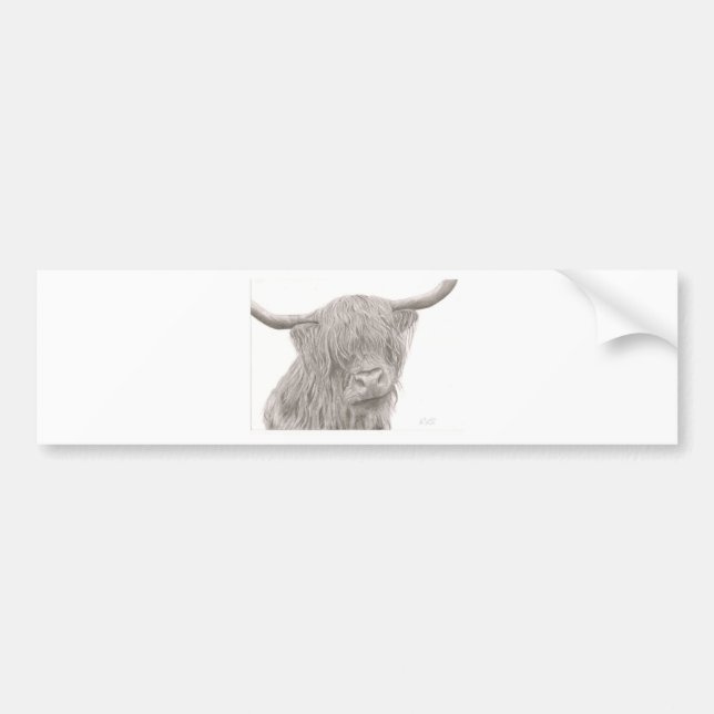 Highland Cow Bumper Sticker (Front)