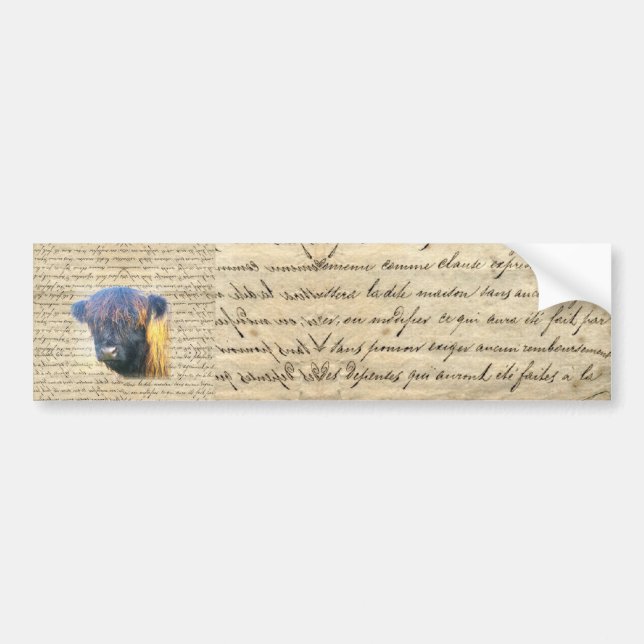 Highland cow bumper sticker (Front)