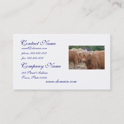 Highland Cow Business Card