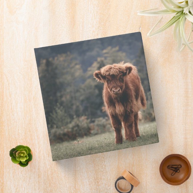 Highland cow calf autumn grass field 3 ring binder (In Situ)