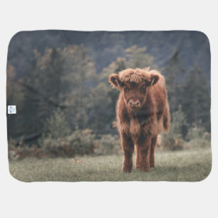 Highland cow calf autumn grass field baby blanket