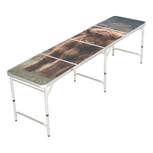 Highland cow calf autumn grass field beer pong table