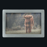 Highland cow calf autumn grass field belt buckle<br><div class="desc">Highland cow calf autumn grass field photograph. Stunning young calf of highland Scottish cattle on an autumn grassy field with muted colors. Beautiful dark hairy orange coat contrasting with light yellow green grass and trees in bokeh in background.</div>