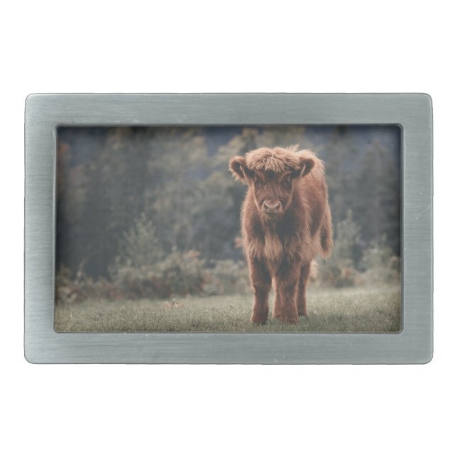 Highland cow calf autumn grass field belt buckle (Front)