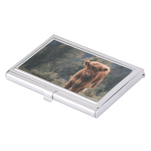 Highland cow calf autumn grass field business card case