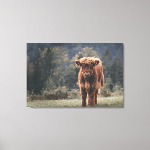 Highland cow calf autumn grass field canvas print