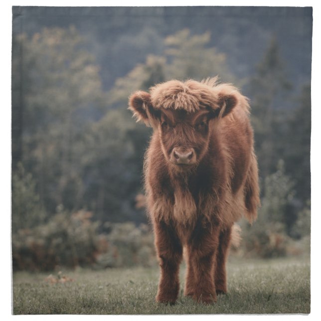 Highland cow calf autumn grass field cloth napkin (Front)