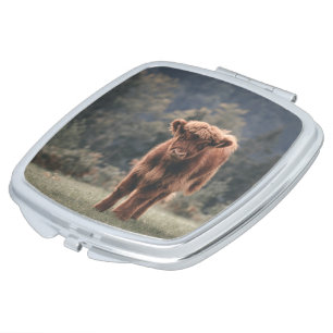 Highland cow calf autumn grass field compact mirror