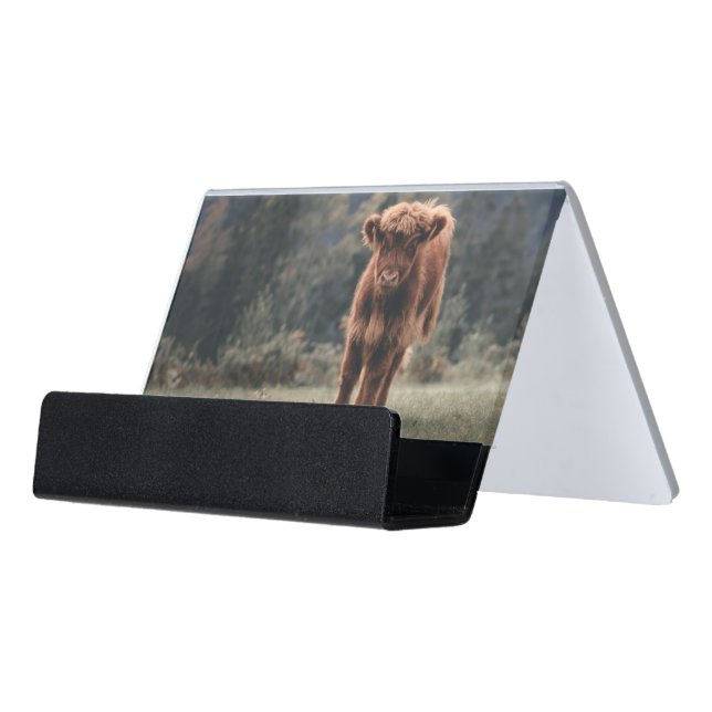 Highland cow calf autumn grass field desk business card holder (Angled Front)