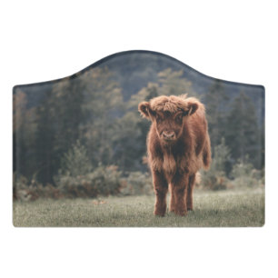 Highland cow calf autumn grass field door sign