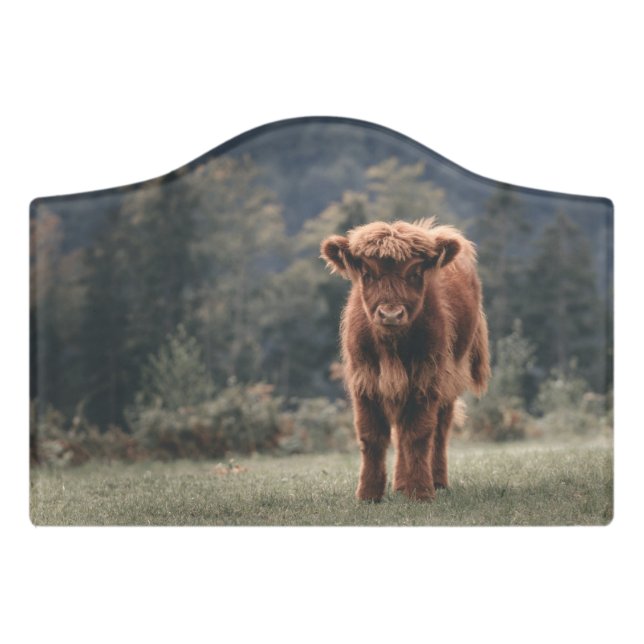 Highland cow calf autumn grass field door sign (Small Crest Front)