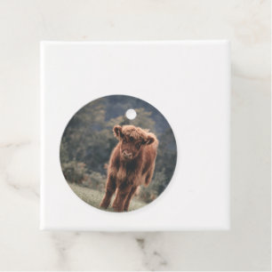 Highland cow calf autumn grass field favor tags