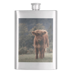 Highland cow calf autumn grass field flask
