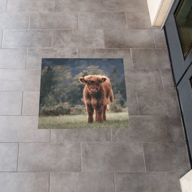 Highland cow calf autumn grass field floor decals (Restaurant)