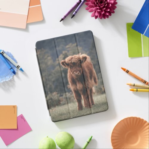 Highland cow calf autumn grass field iPad air cover