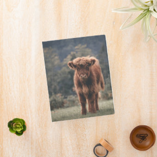 Highland cow calf autumn grass field mini binder