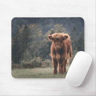 Highland cow calf autumn grass field mouse pad
