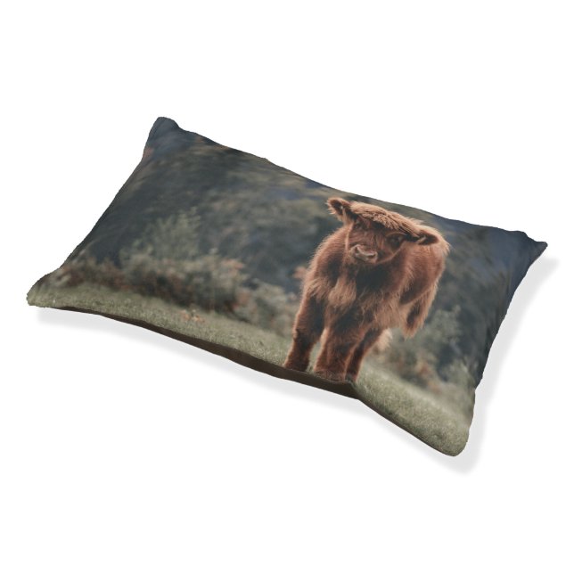Highland cow calf autumn grass field pet bed (Angled)
