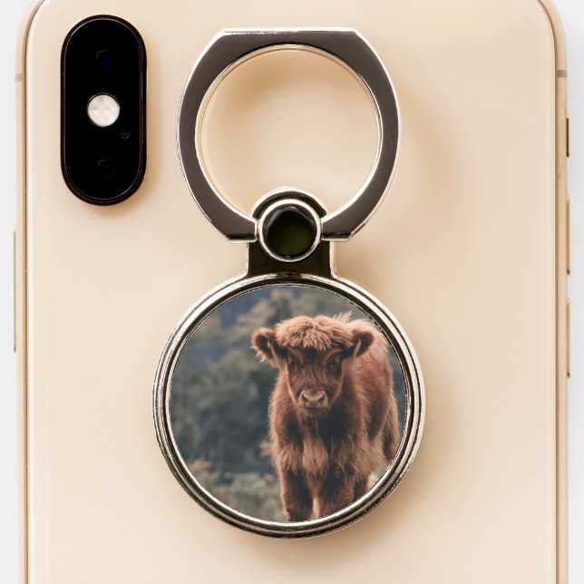 Highland cow calf autumn grass field phone ring stand (Close Up)