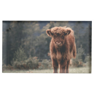 Highland cow calf autumn grass field place card holder