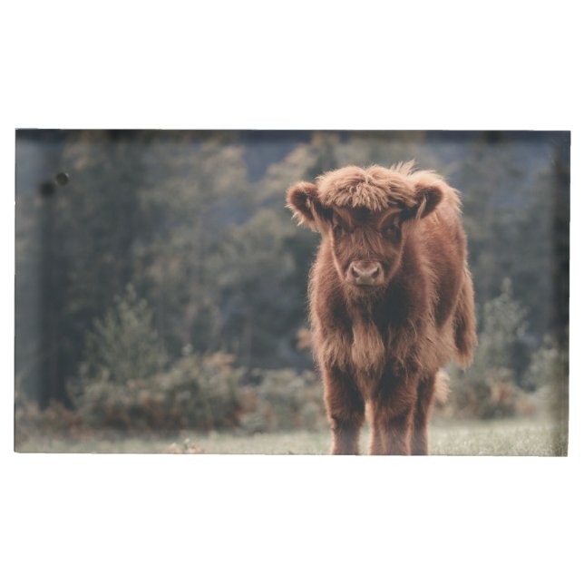 Highland cow calf autumn grass field place card holder (Front)