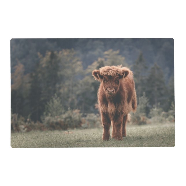 Highland cow calf autumn grass field placemat (Front)