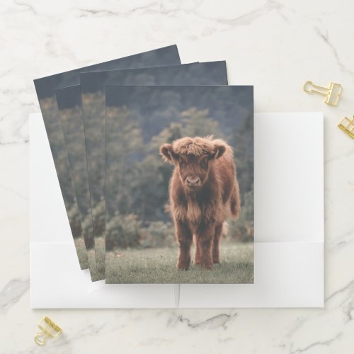 Highland cow calf autumn grass field pocket folder