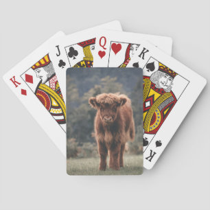 Highland cow calf autumn grass field poker cards