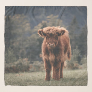 Highland cow calf autumn grass field scarf