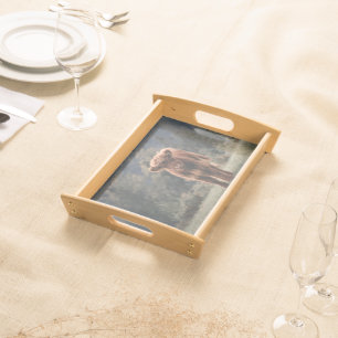 Highland cow calf autumn grass field serving tray