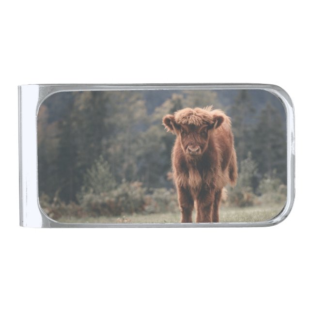 Highland cow calf autumn grass field silver finish money clip (Front)