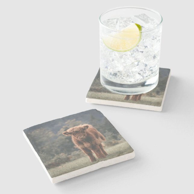 Highland cow calf autumn grass field stone coaster (Side)