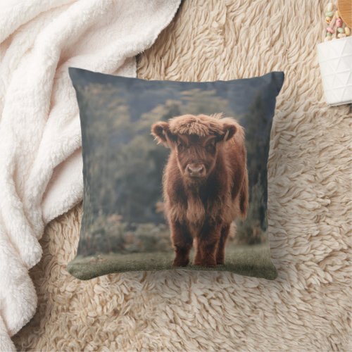 Highland cow calf autumn grass field throw pillow