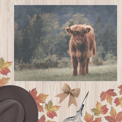 Highland cow calf autumn grass field tissue paper