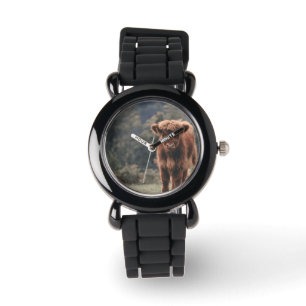 Highland cow calf autumn grass field watch